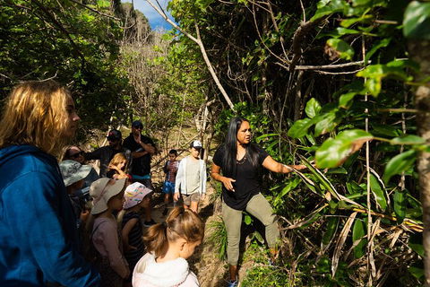 Cape Byron Aboriginal Tour - eAccommodation 4