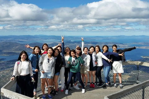 Mt Field National Park Active Day-Trip Including Bonorong And Mt Wellington - eAccommodation 2