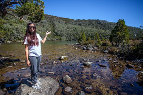 Mt Field National Park Active Day-Trip Including Bonorong And Mt Wellington - eAccommodation 4