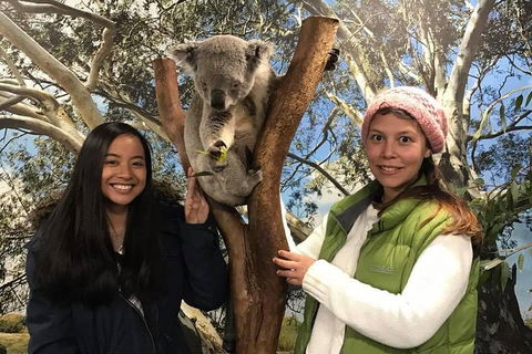Australia Multi-City Attractions Pass - eAccommodation 3
