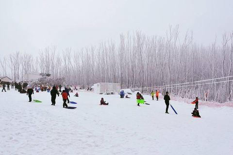 Private Mount Buller Snow And Ski Tour From Melbourne - eAccommodation 1