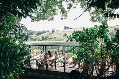 Tropical Fruit World Farm Full Tour - eAccommodation 4