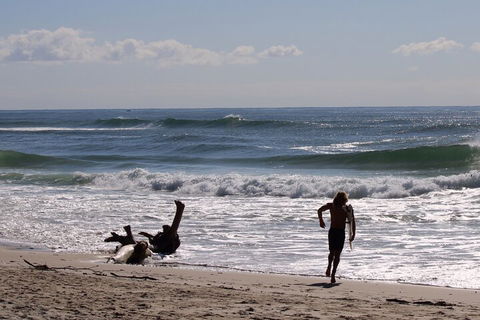 Private Surf Coaching Session In New South Wales - eAccommodation 3