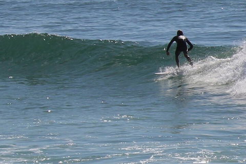 Private Surf Coaching Session In New South Wales - eAccommodation 4