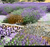 Kangaroo Island Food and Wine Trail Tour - eAccommodation