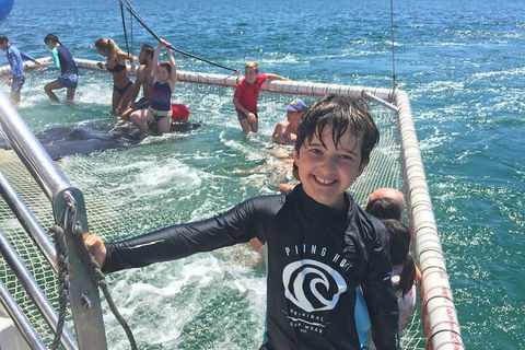 Port Stephens Private Tour From Sydney, With Dolphin/ Whale Cruise Options - eAccommodation 0
