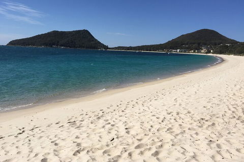 Port Stephens Private Tour From Sydney, With Dolphin/ Whale Cruise Options - eAccommodation 2