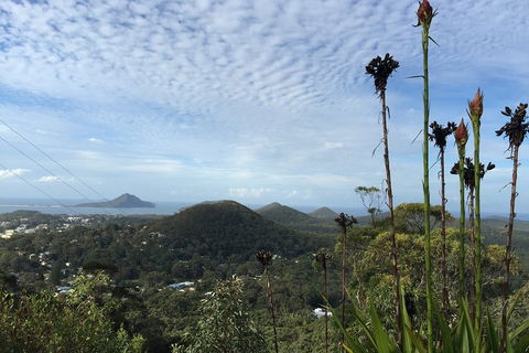 Port Stephens Private Tour From Sydney, With Dolphin/ Whale Cruise Options - eAccommodation 3