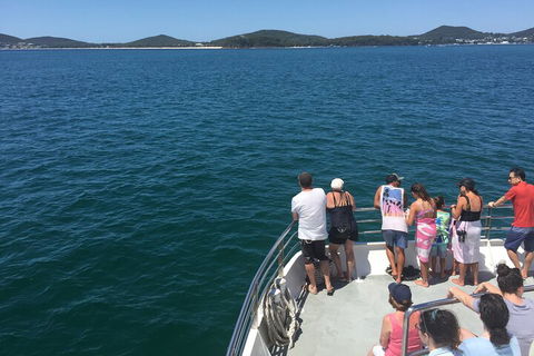 Port Stephens Private Tour From Sydney, With Dolphin/ Whale Cruise Options - eAccommodation 4