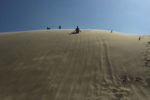 Port Stephens Private Tour From Sydney, With Dolphin/ Whale Cruise Options - eAccommodation 5