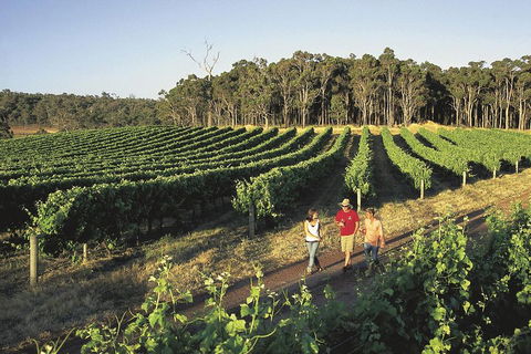 Margaret River, Caves, Wine And Cape Leeuwin Lighthouse Tour From Perth - eAccommodation 1