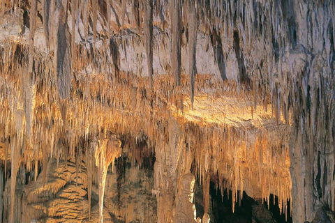 Margaret River, Caves, Wine And Cape Leeuwin Lighthouse Tour From Perth - eAccommodation 3