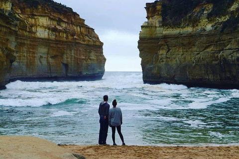 Great Ocean Road Small-Group Ecotour From Melbourne - eAccommodation 1
