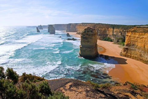 Great Ocean Road Small-Group Ecotour From Melbourne - eAccommodation 2