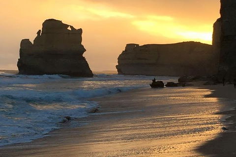 Great Ocean Road Small-Group Ecotour From Melbourne - eAccommodation 5