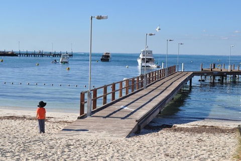 Monkey Mia Dolphins & Shark Bay Air Tour From Perth - eAccommodation 0