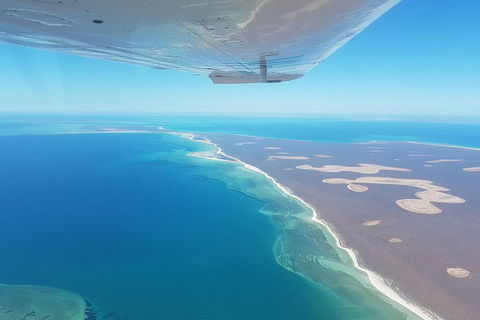 Monkey Mia Dolphins & Shark Bay Air Tour From Perth - eAccommodation 2