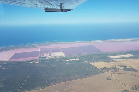 Monkey Mia Dolphins & Shark Bay Air Tour From Perth - eAccommodation 5