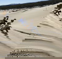 Port Stephens Bush Beach and Sand Dune 4WD Tag-Along Tour - eAccommodation