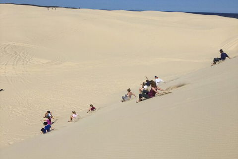 Port Stephens Bush, Beach And Sand Dune 4WD Passenger Tour - eAccommodation 4