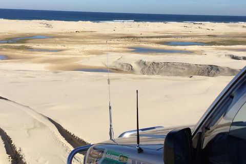 Port Stephens Bush, Beach And Sand Dune 4WD Passenger Tour - eAccommodation 5