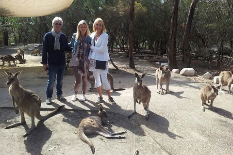 Private Scenic Day Trip From Sydney For Families And Friends - eAccommodation 1