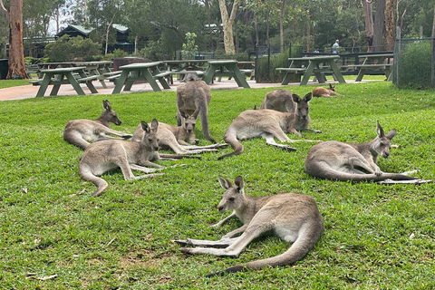 Private Scenic Day Trip From Sydney For Families And Friends - eAccommodation 4