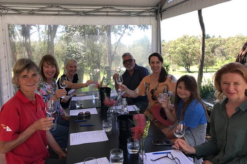 Private Scenic Day Trip From Sydney For Families And Friends - eAccommodation 5