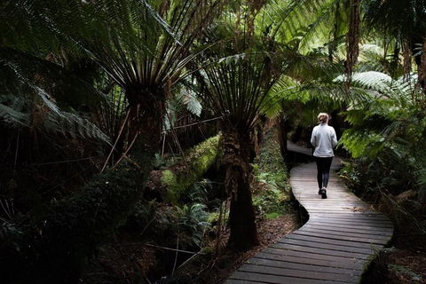 Private Tour Of Melbourne - eAccommodation 2