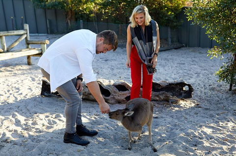 Albany's Whale Story - eAccommodation 1