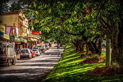 Fully Inclusive Blue Mountains Private Tour Inc Scenic World & Featherdale Entry - eAccommodation 0