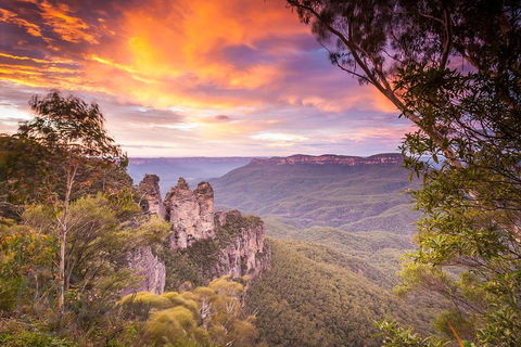 Fully Inclusive Blue Mountains Private Tour Inc Scenic World & Featherdale Entry - eAccommodation 5