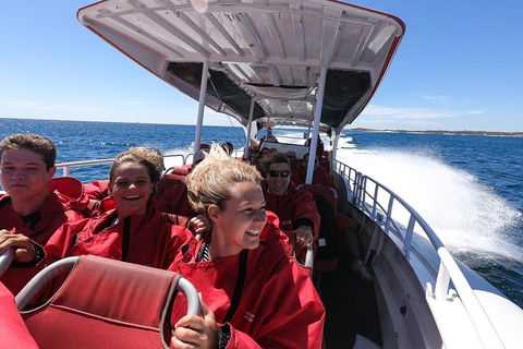 Adventure Rottnest Tour With Ferry & Adventure Cruise From Perth Or Fremantle - eAccommodation 0