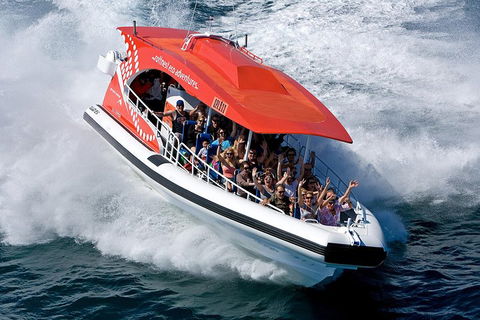 Adventure Rottnest Tour With Ferry & Adventure Cruise From Perth Or Fremantle - eAccommodation 2