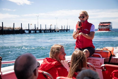 Adventure Rottnest Tour With Ferry & Adventure Cruise From Perth Or Fremantle - eAccommodation 4