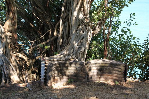 Darwin Walking Tour: World War II Reflections - eAccommodation 3