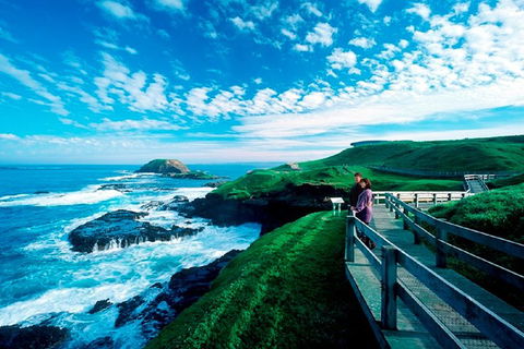Puffing Billy, Moonlit Sanctuary & Penguins Day Tour - eAccommodation 2