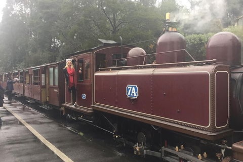 Puffing Billy, Moonlit Sanctuary & Penguins Day Tour - eAccommodation 4
