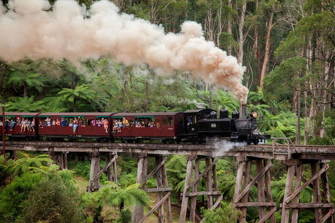 Melbourne Combo: Great Ocean Road, Puffing Billy, Moonlit Sanctuary & Penguins - eAccommodation 1