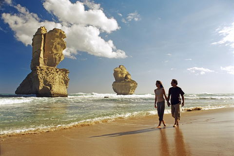 Melbourne Combo: Great Ocean Road, Puffing Billy, Moonlit Sanctuary & Penguins - eAccommodation 2