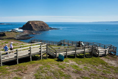 Melbourne Combo: Great Ocean Road, Puffing Billy, Moonlit Sanctuary & Penguins - eAccommodation 5