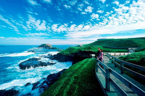 Melbourne Combo: Great Ocean Road + Phillip Island Express + Attraction Pass - eAccommodation 1