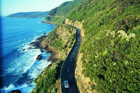 Melbourne Combo: Great Ocean Road + Phillip Island Express + Attraction Pass - eAccommodation 4