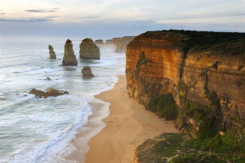 Melbourne Combo: Great Ocean Road + Phillip Island Express + Attraction Pass - eAccommodation 5