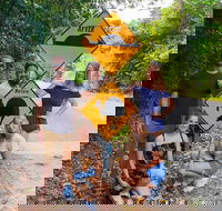 Cape Tribulation Daintree Rainforest and Wildlife Tour - eAccommodation