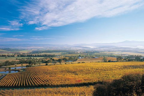 Melbourne City Tour And Half Day Yarra Valley In One Day - eAccommodation 5
