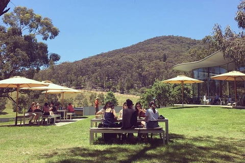 CHEVY CONVERTIBLE Package For 2 People- Wine Lunch Cheese & Chocolate From Melb. - eAccommodation 5