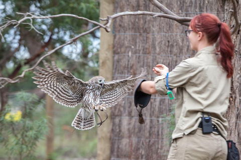 Moonlit Sanctuary Wildlife Conservation Park Daytime General Entry Ticket - eAccommodation 1
