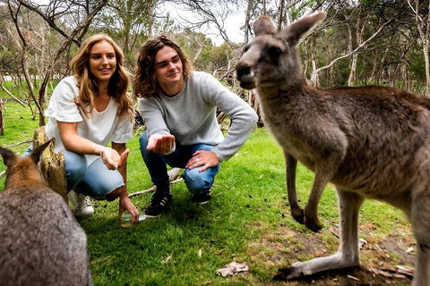 Moonlit Sanctuary Wildlife Conservation Park Daytime General Entry Ticket - eAccommodation 2