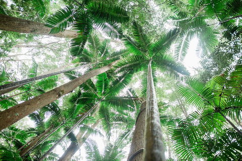 Fraser Explorer K'gari 2-Day Tour - eAccommodation 2